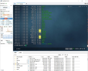 FinalShell SSH工具,服务器管理,远程桌面加速软件,支持Windows,macOS,Linux