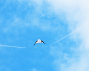 一个人活在世界上,必须处理好三个关系:第一,人与大自然的关系;第二,人与人的关系,包括家庭关系在内;第三,个人心中思想与感情矛盾与平衡的关系。