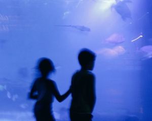 人生中最艰难的抉择,不是对与错之间的抉择,而是好与最好之间的抉择。